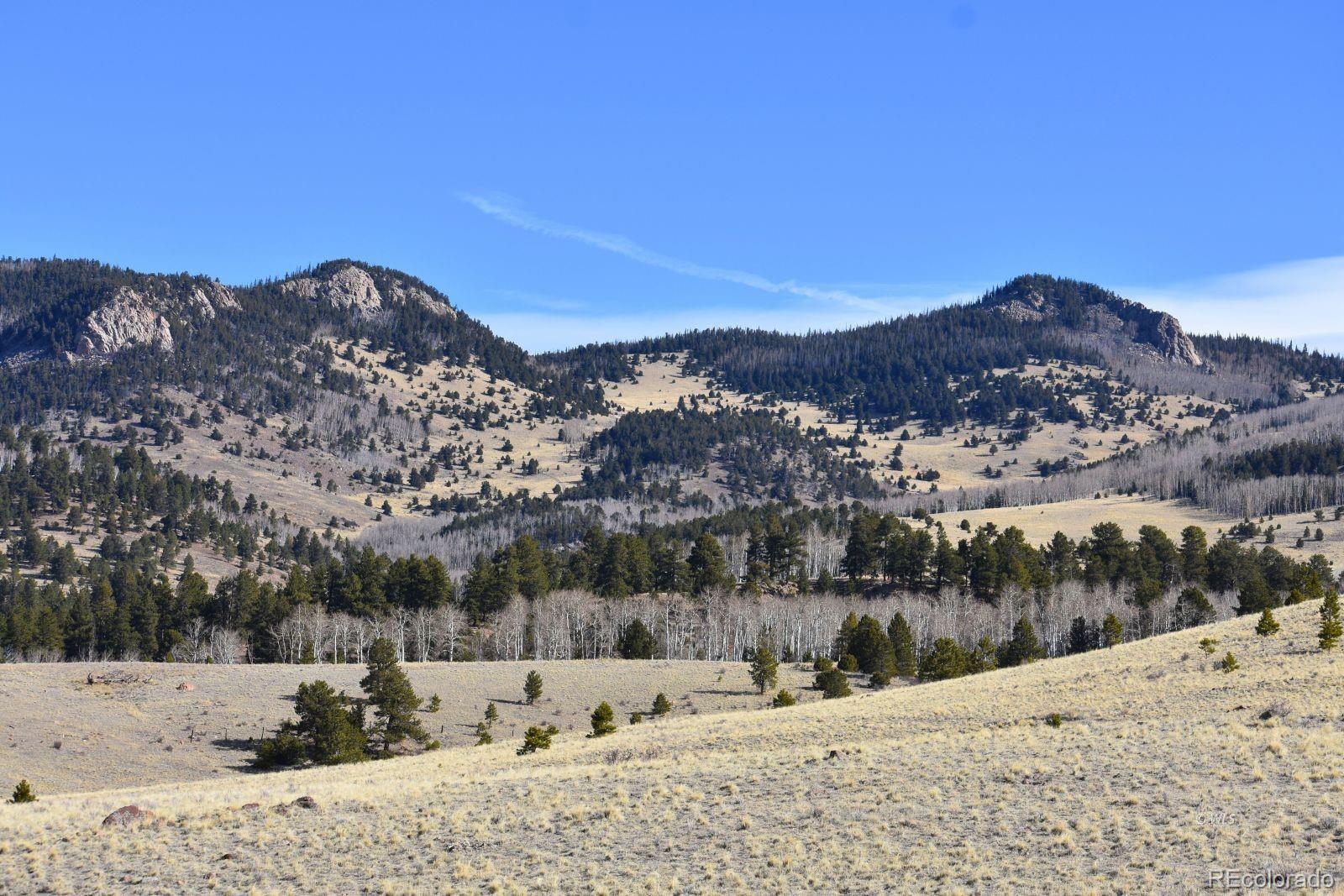 457 Anthony Avenue Westcliffe CO 81252