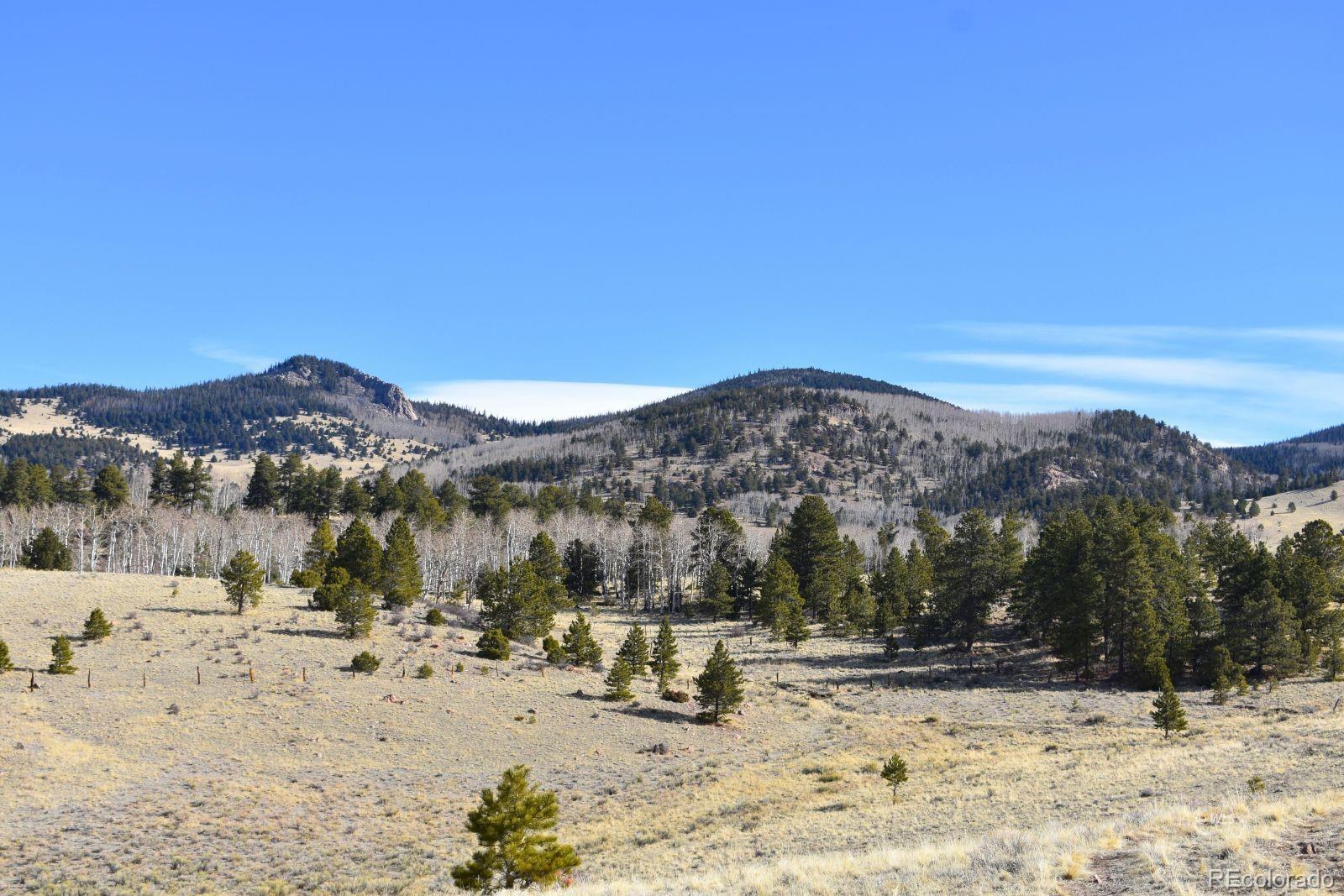457 Anthony Avenue Westcliffe CO 81252