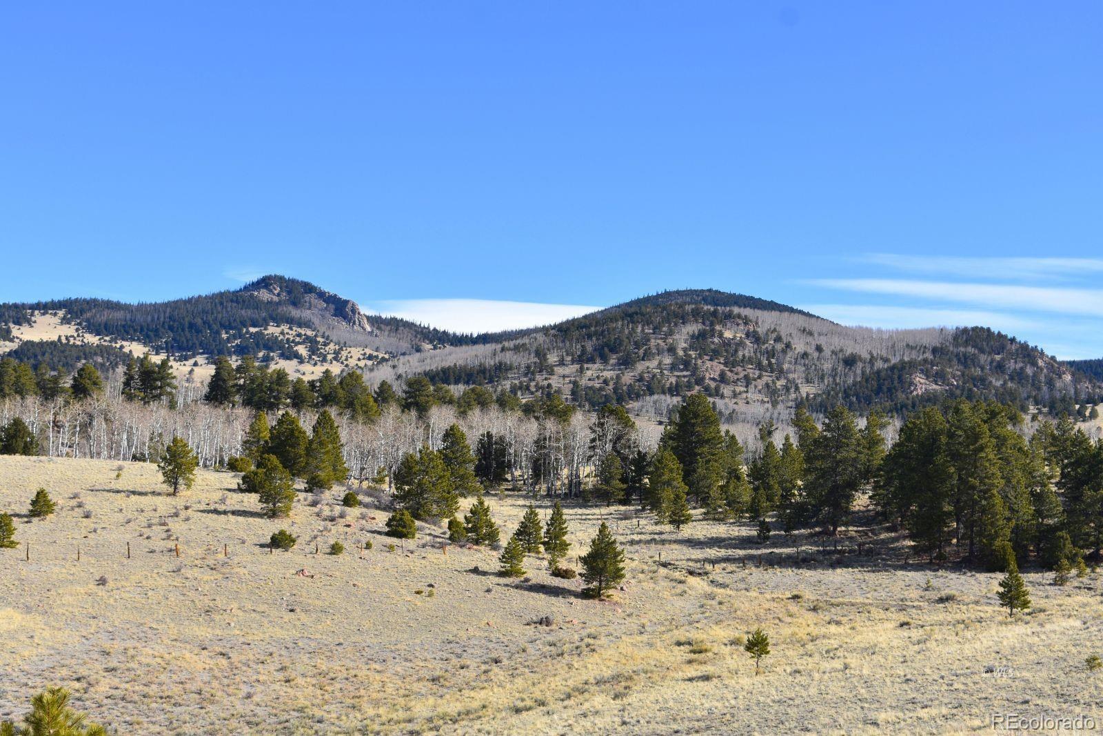 457 Anthony Avenue Westcliffe CO 81252