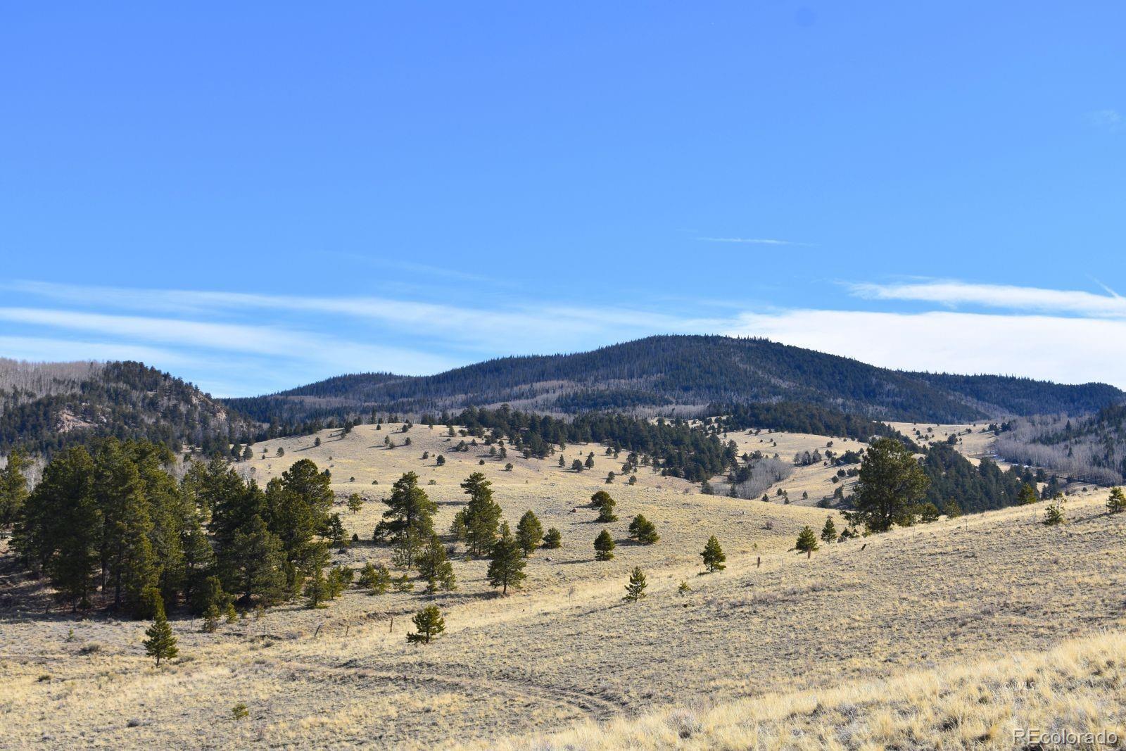 457 Anthony Avenue Westcliffe CO 81252