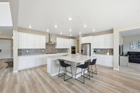 5559 Hickory Oaks Trail Castle Rock CO 80104