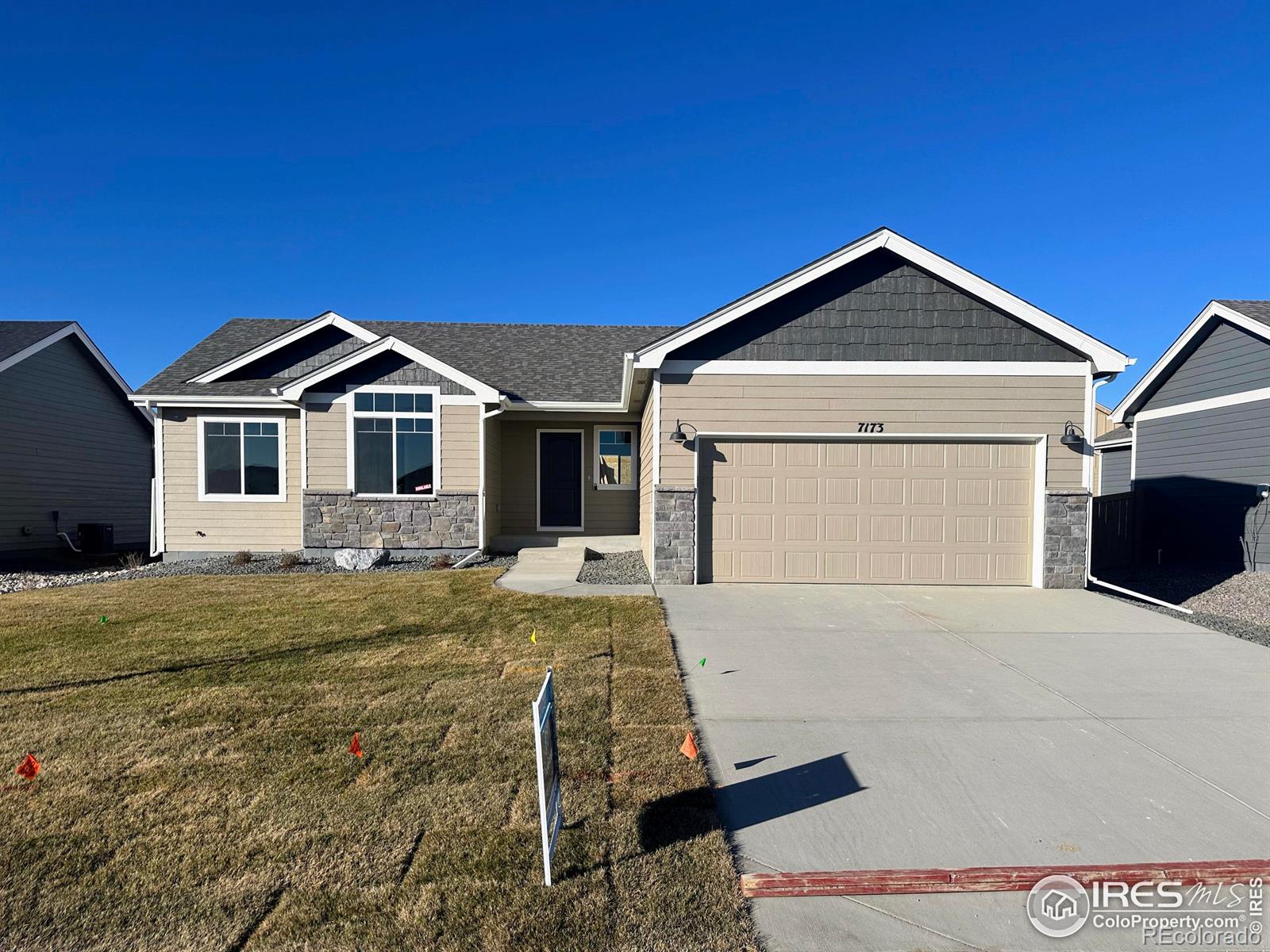 7173 Rye Grass Drive Wellington CO 80549