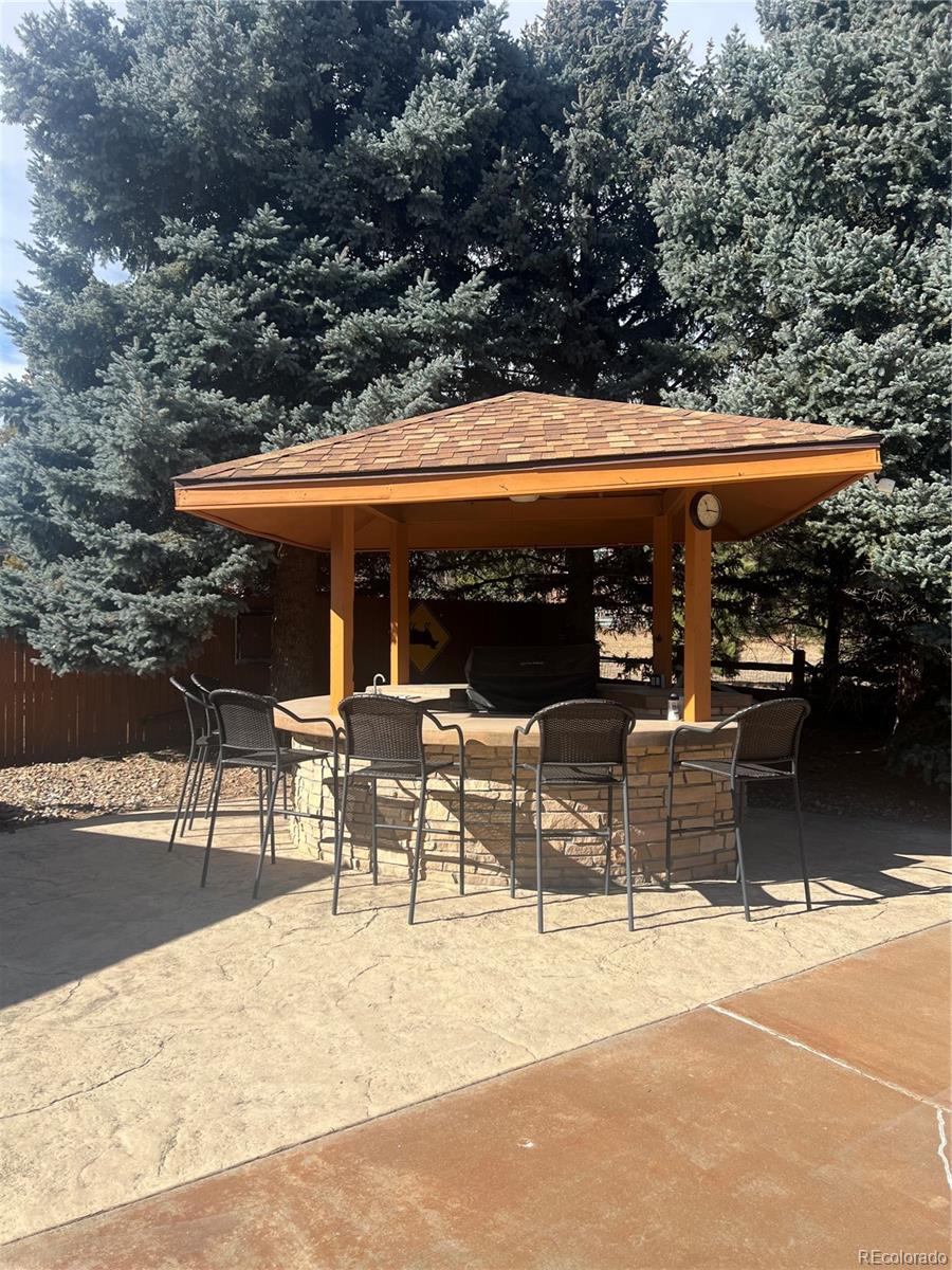 20197 Aintree Court Parker CO 80138