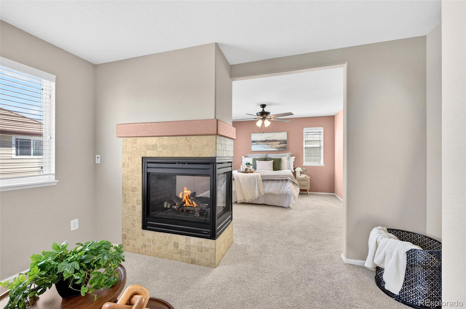 785 Diamond Rim Drive Colorado Springs CO 80921