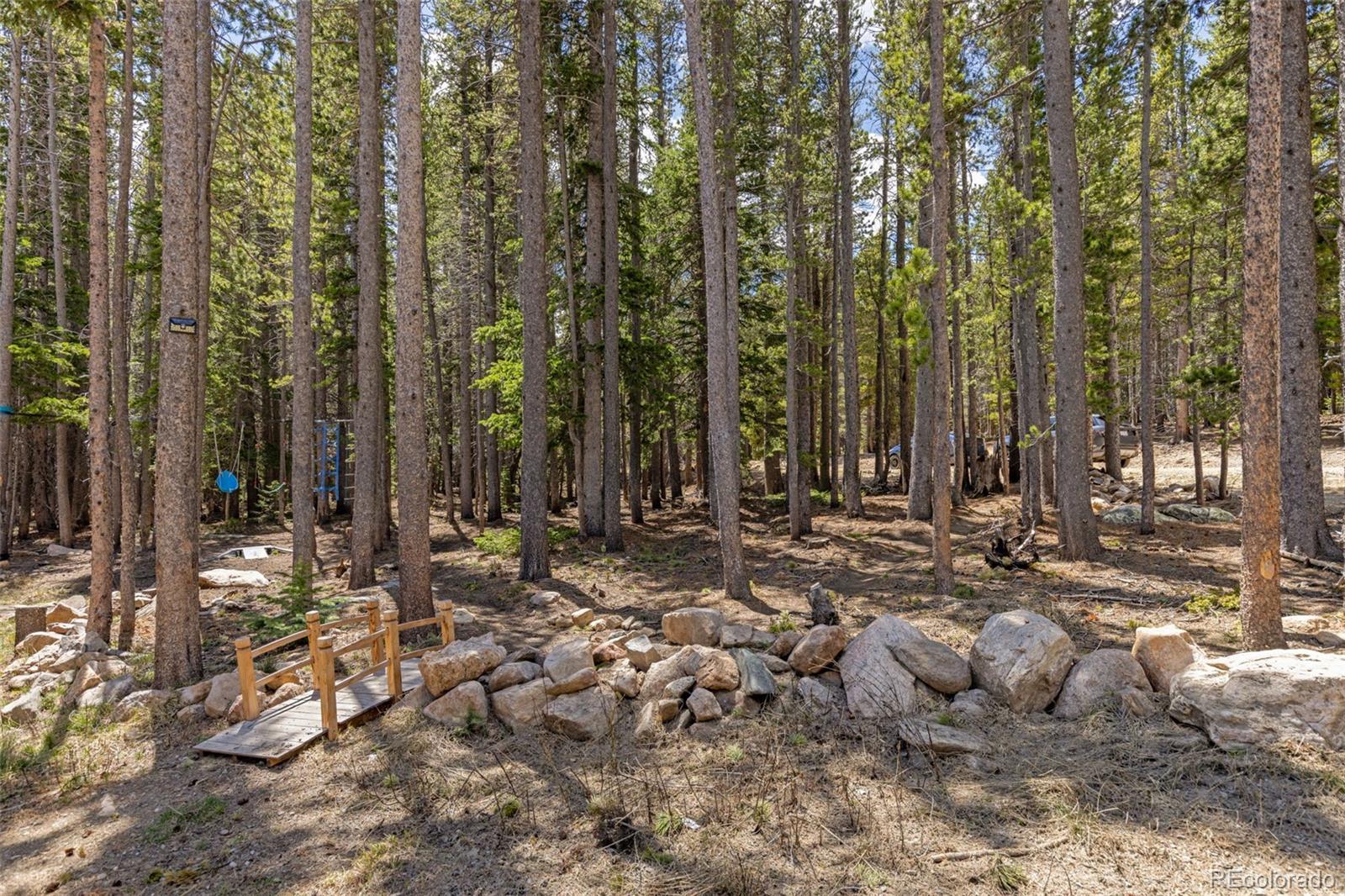 14 Deer Road Idaho Springs CO 80452