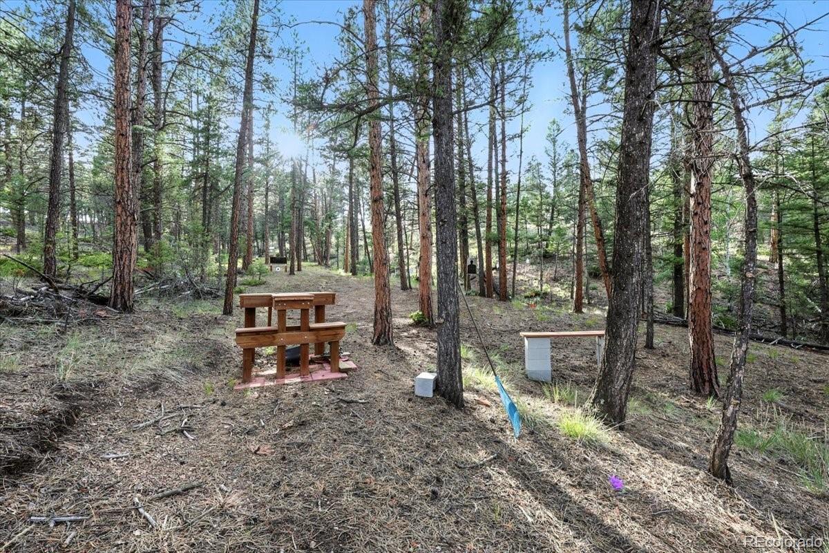 1721 Wildhorn Road Florissant CO 80816
