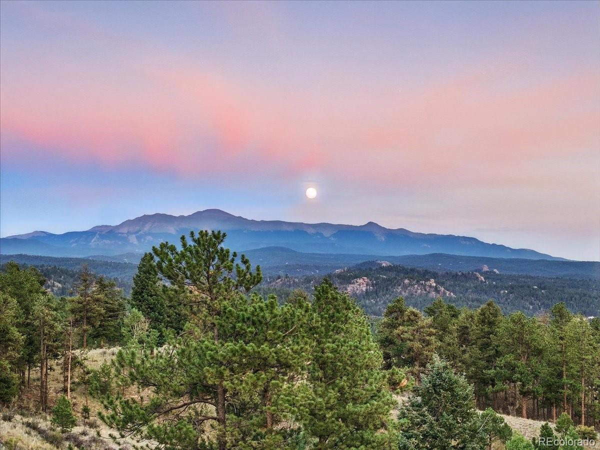 1721 Wildhorn Road Florissant CO 80816
