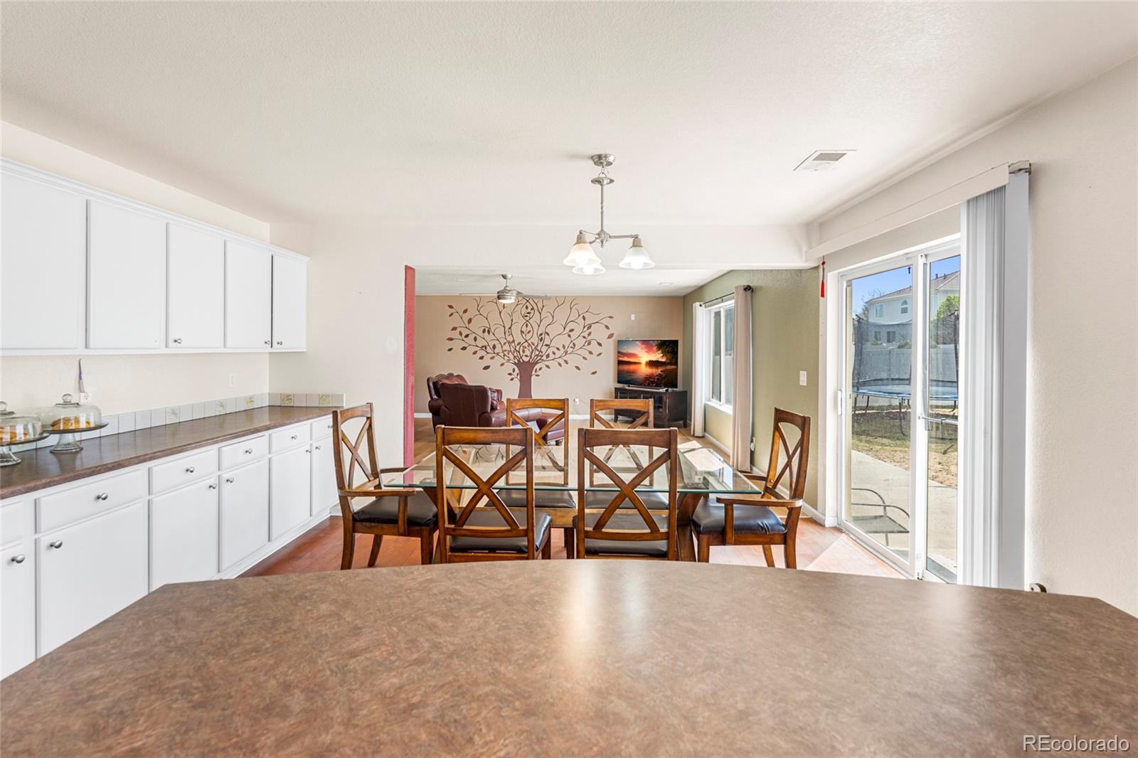 21354 E 51st Avenue Denver CO 80249