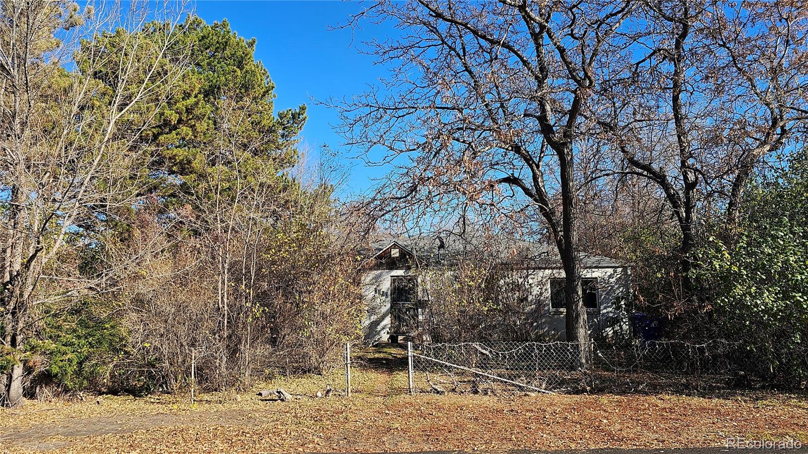 3490 Otis Street Wheat Ridge CO 80033