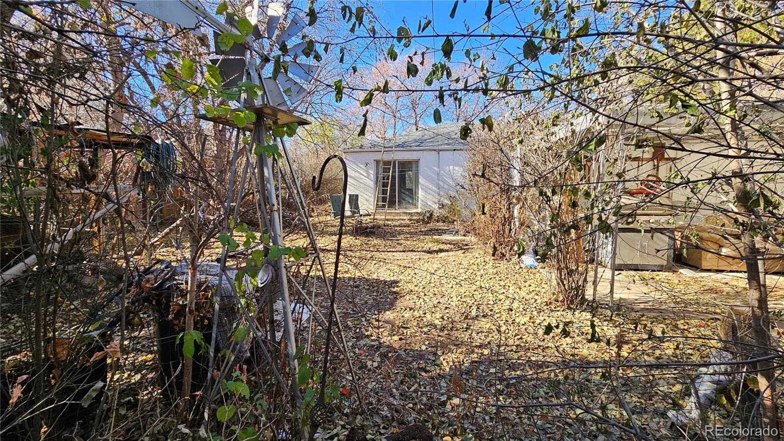 3490 Otis Street Wheat Ridge CO 80033