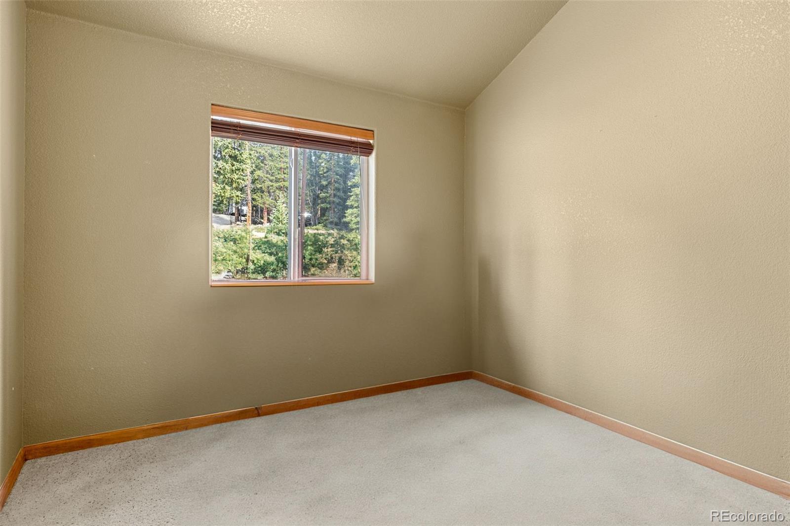 238 Prunes Place Fairplay CO 80440