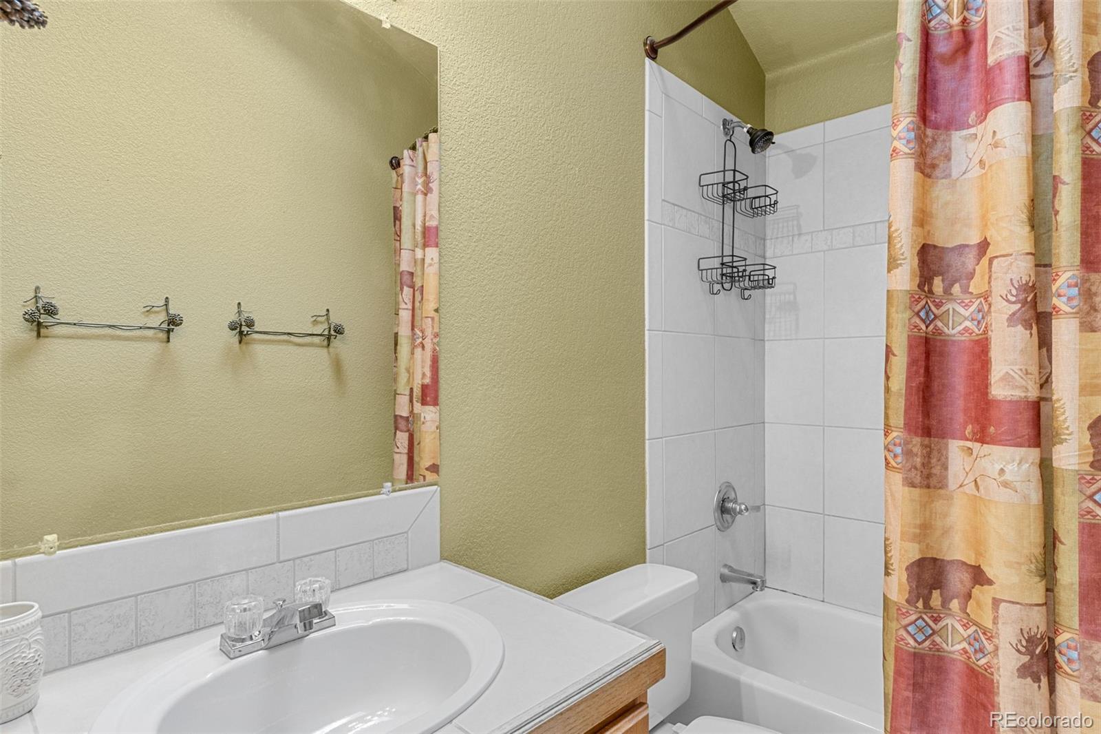 238 Prunes Place Fairplay CO 80440