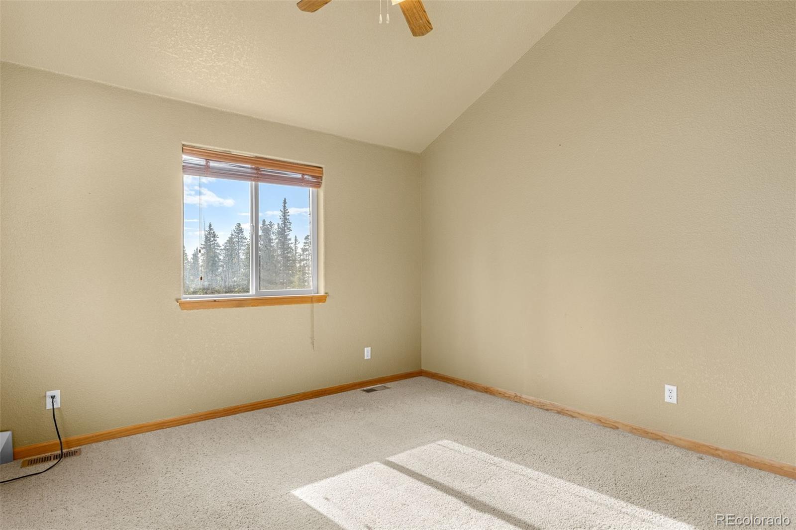 238 Prunes Place Fairplay CO 80440