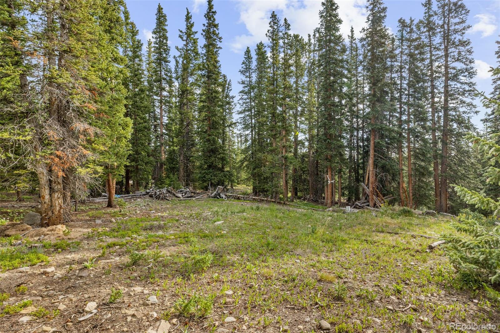 238 Prunes Place Fairplay CO 80440