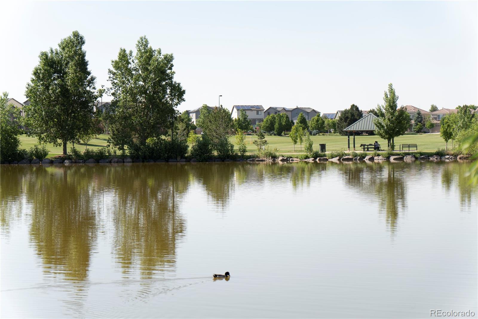 22331 E 46th Avenue Aurora CO 80019