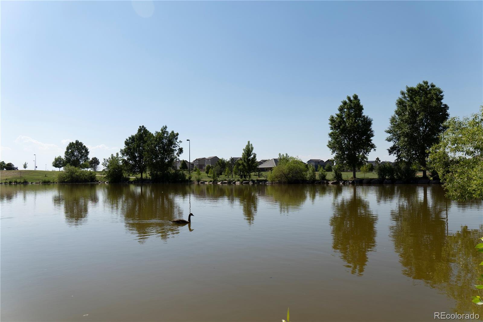 22331 E 46th Avenue Aurora CO 80019