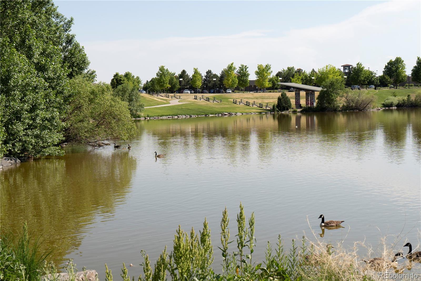 22331 E 46th Avenue Aurora CO 80019