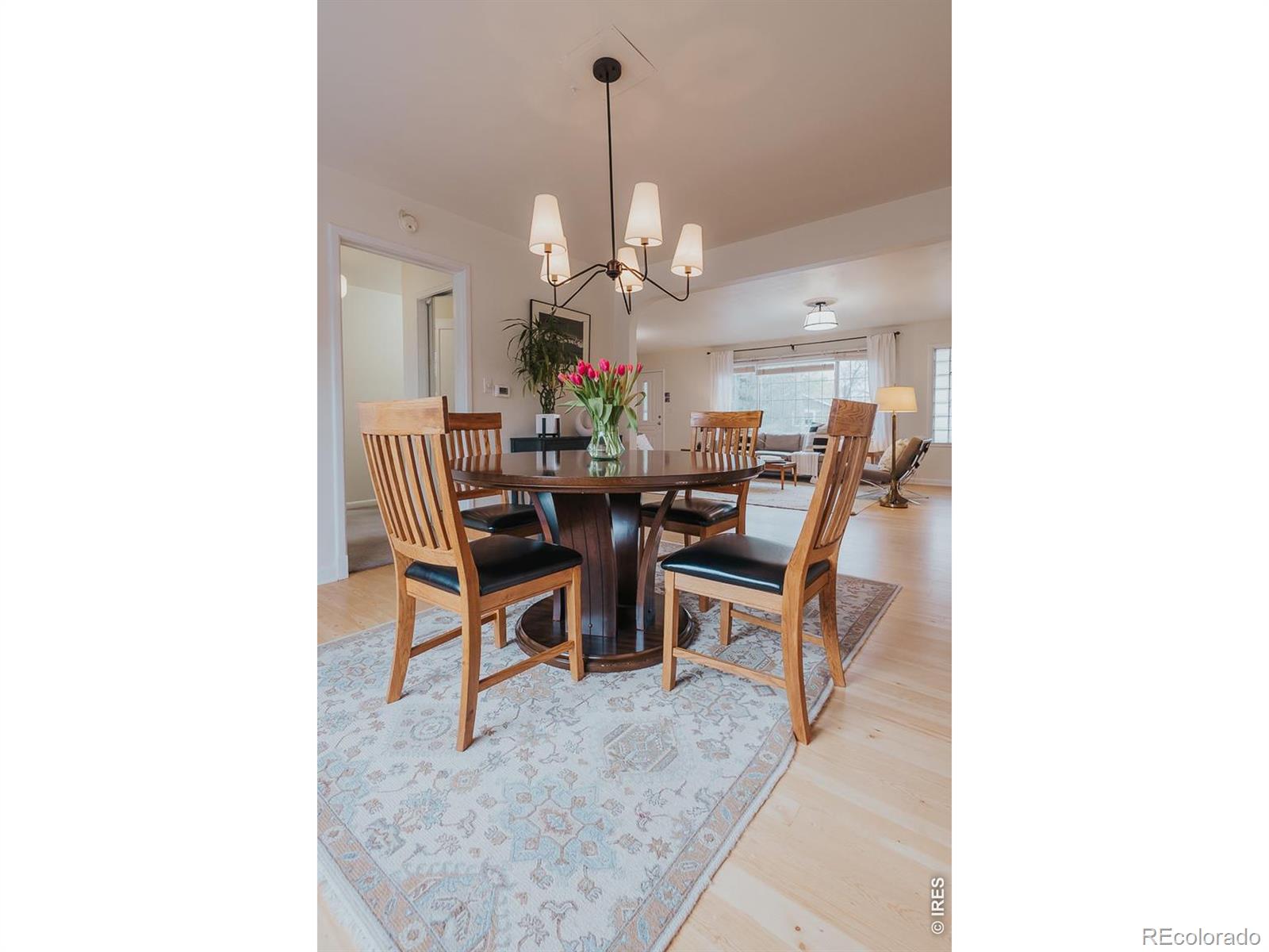 1539 Peterson Street Fort Collins CO 80524