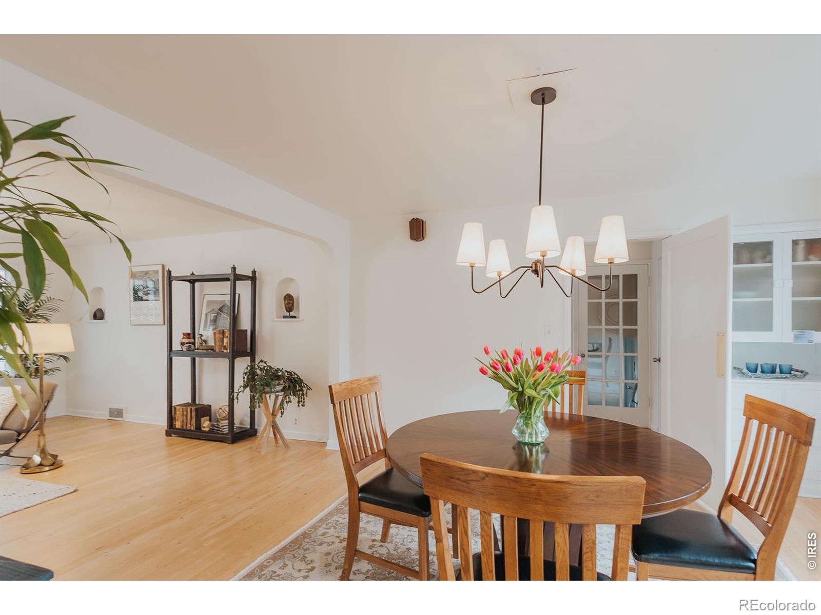 1539 Peterson Street Fort Collins CO 80524
