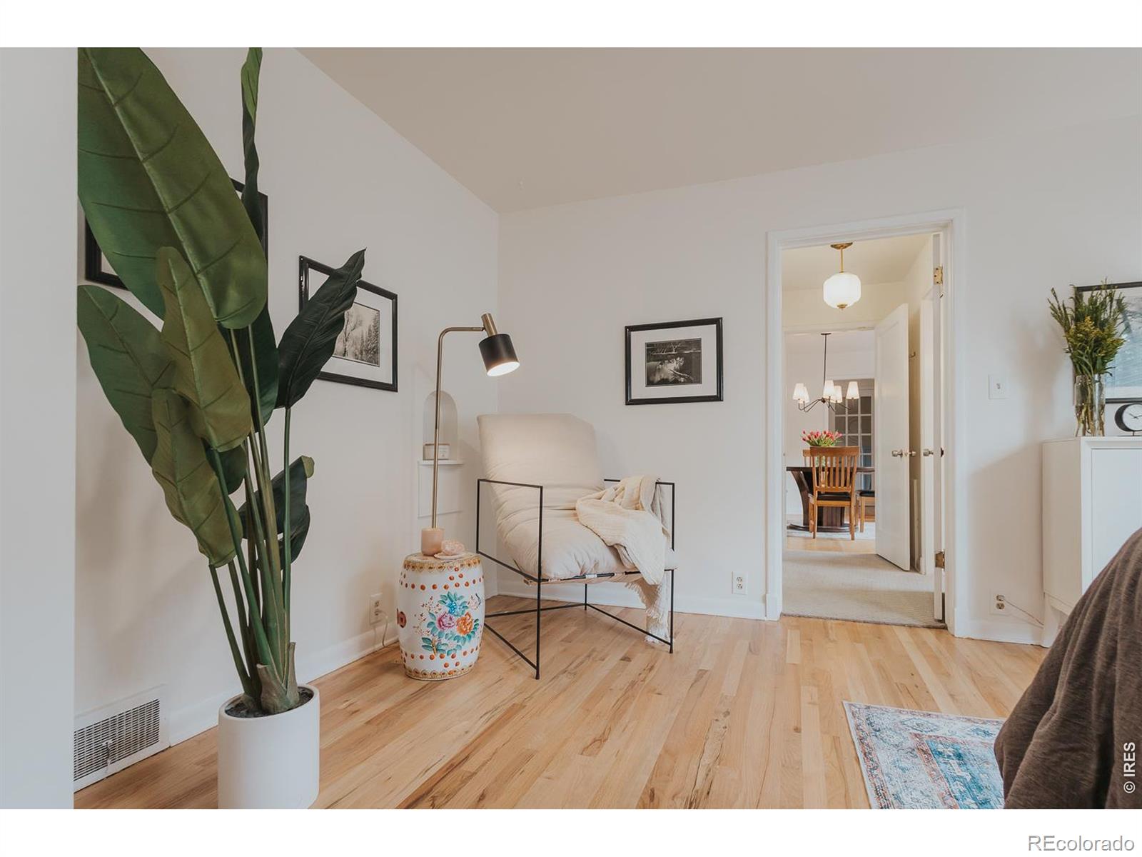 1539 Peterson Street Fort Collins CO 80524