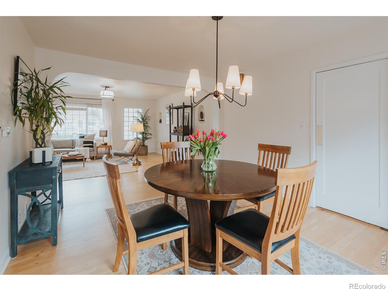 1539 Peterson Street Fort Collins CO 80524