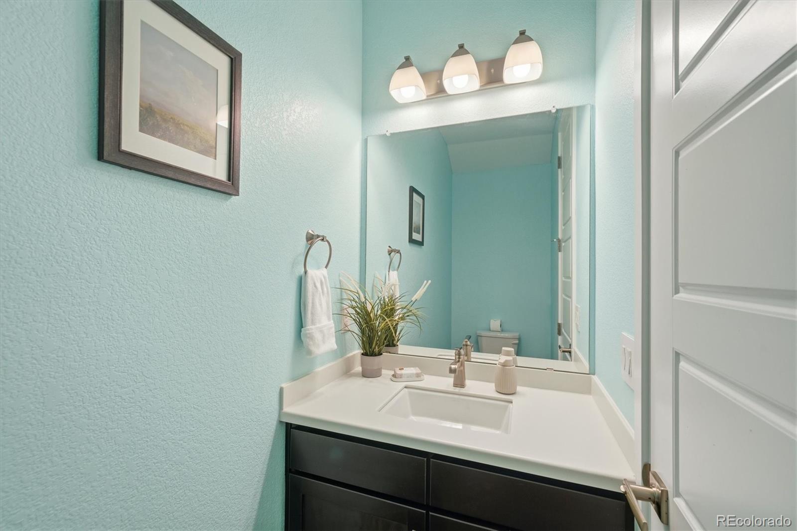 3462 Guinea Way Castle Rock CO 80109