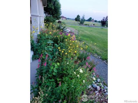 16815 Papago Way Colorado Springs CO 80908