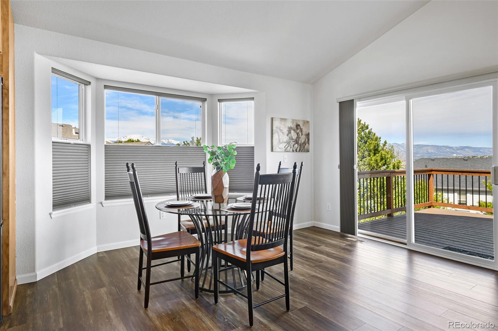 4432 Flat Top Place Colorado Springs CO 80923