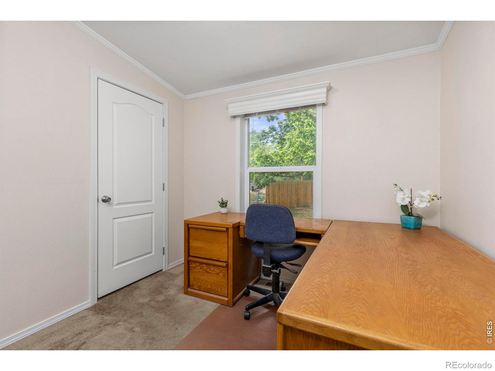 1221 Raven Place Loveland CO 80537