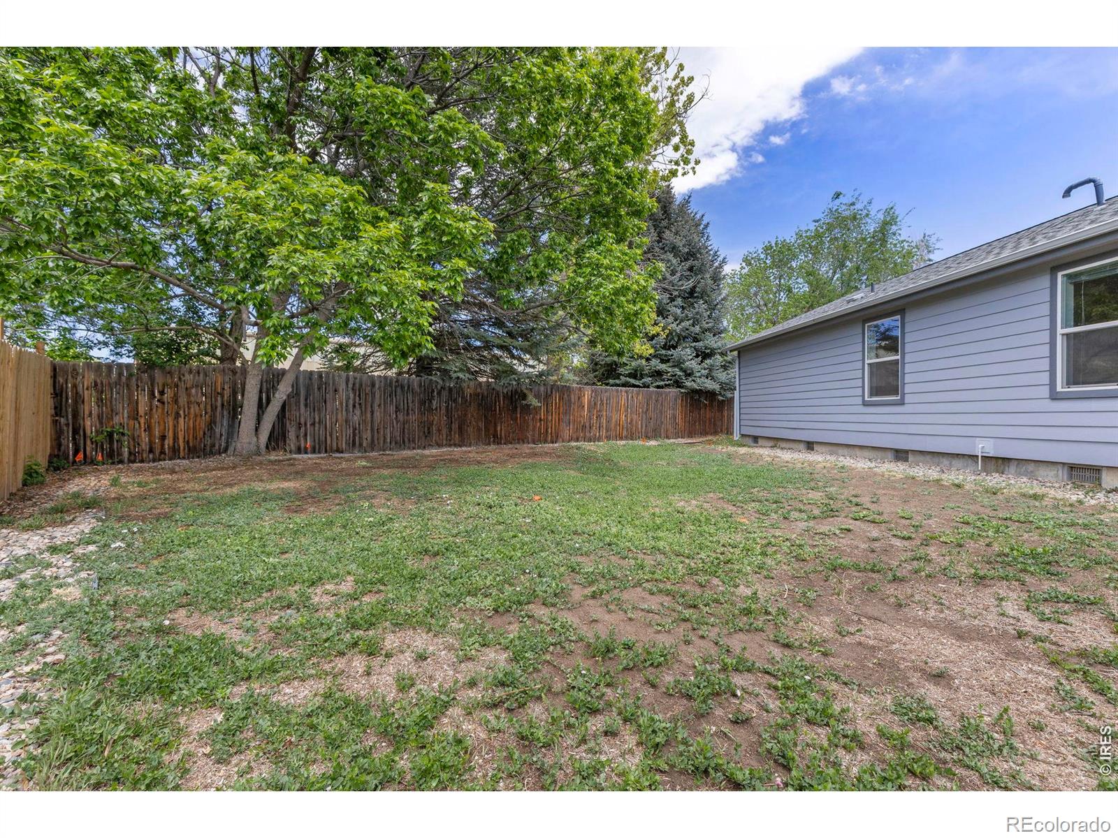 1221 Raven Place Loveland CO 80537