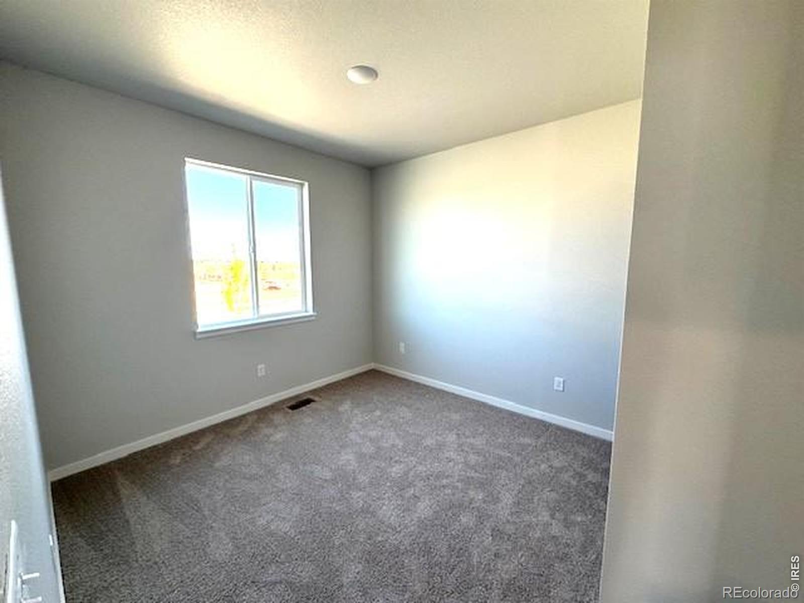 803 Mesic Lane Windsor CO 80550
