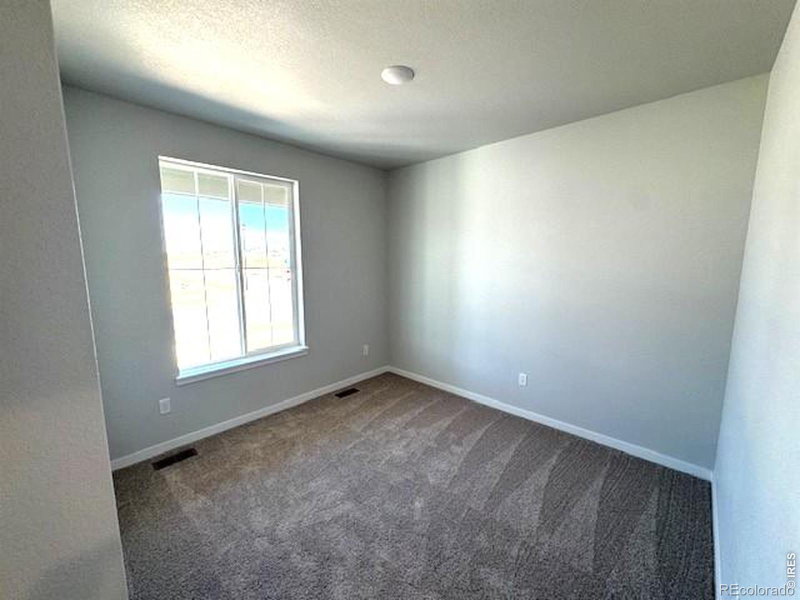 803 Mesic Lane Windsor CO 80550