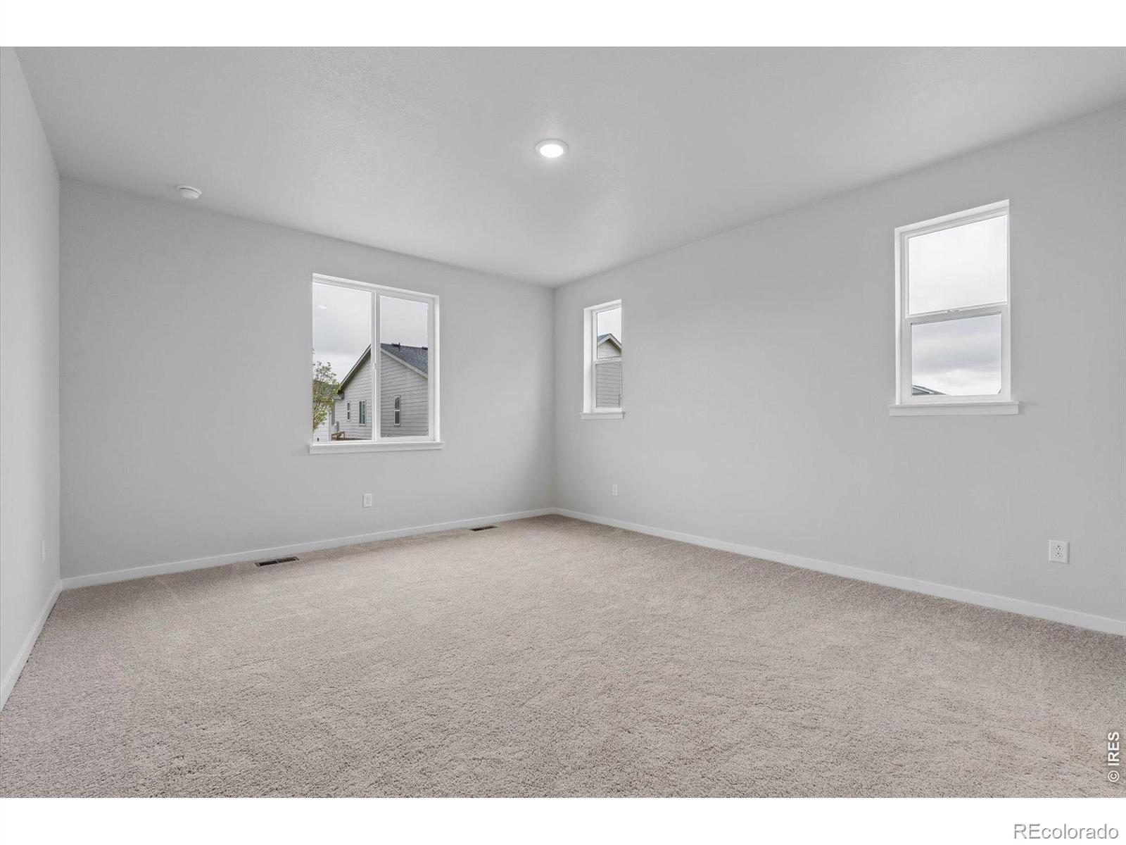 803 Mesic Lane Windsor CO 80550