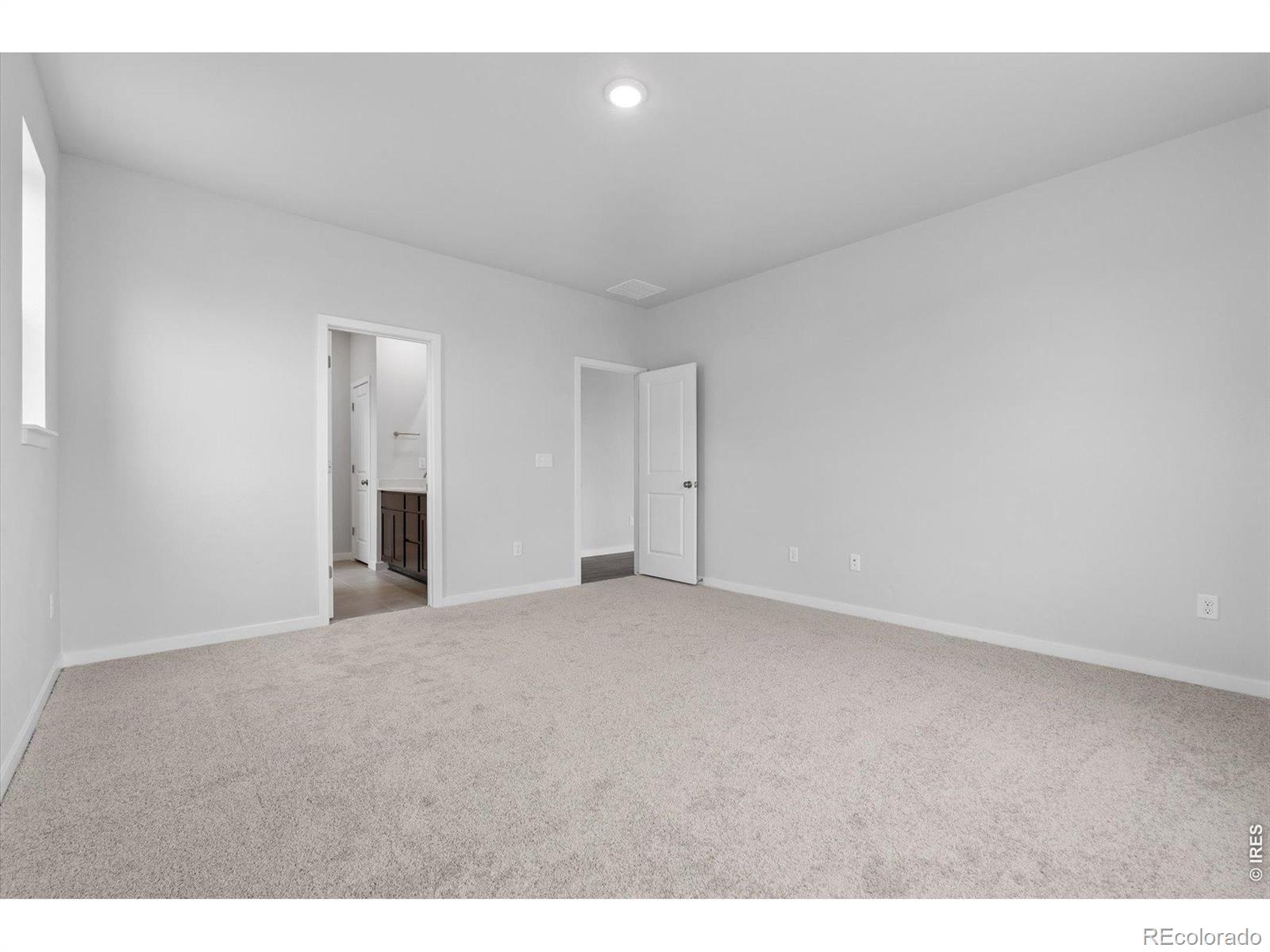803 Mesic Lane Windsor CO 80550