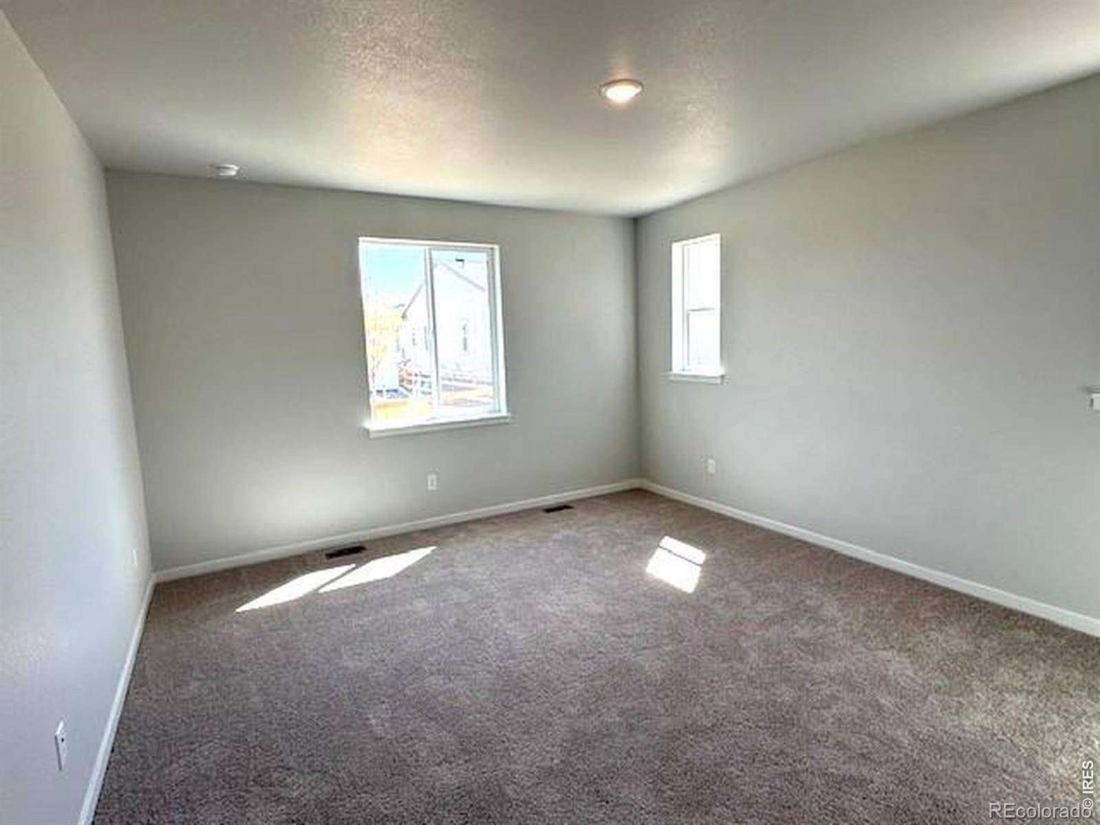 803 Mesic Lane Windsor CO 80550