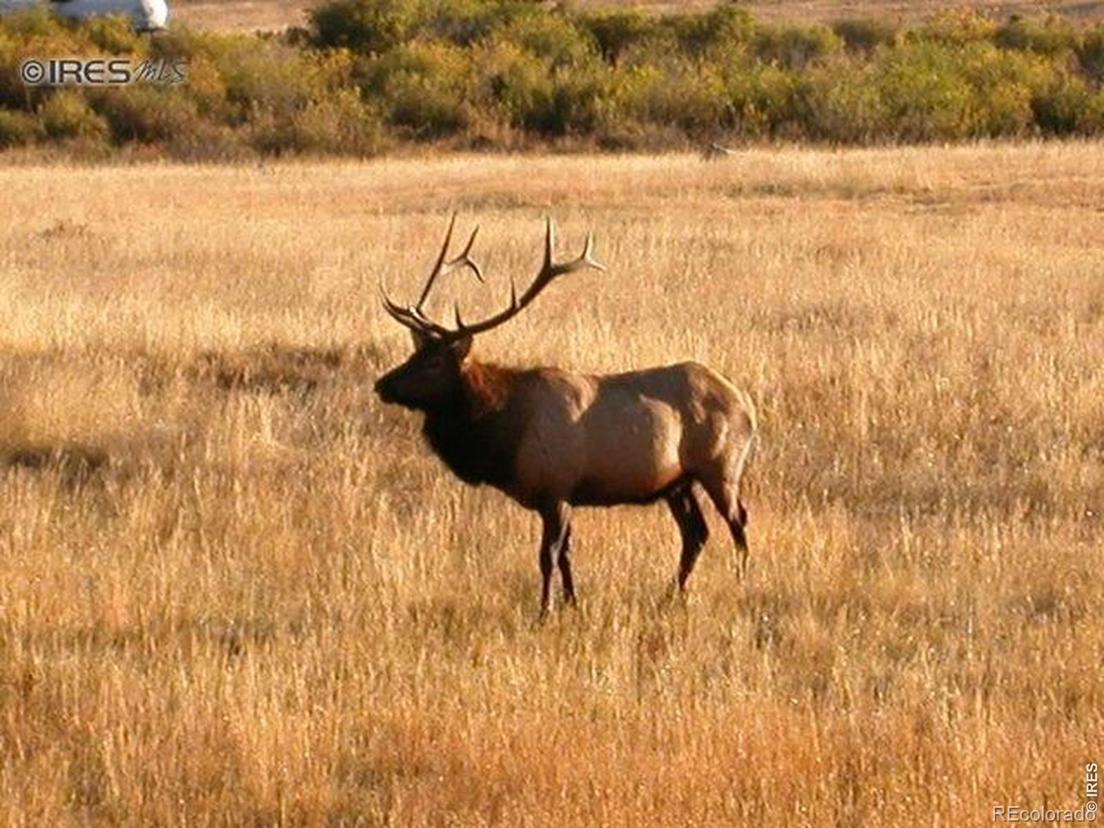1565 Highway 66 Estes Park CO 80517