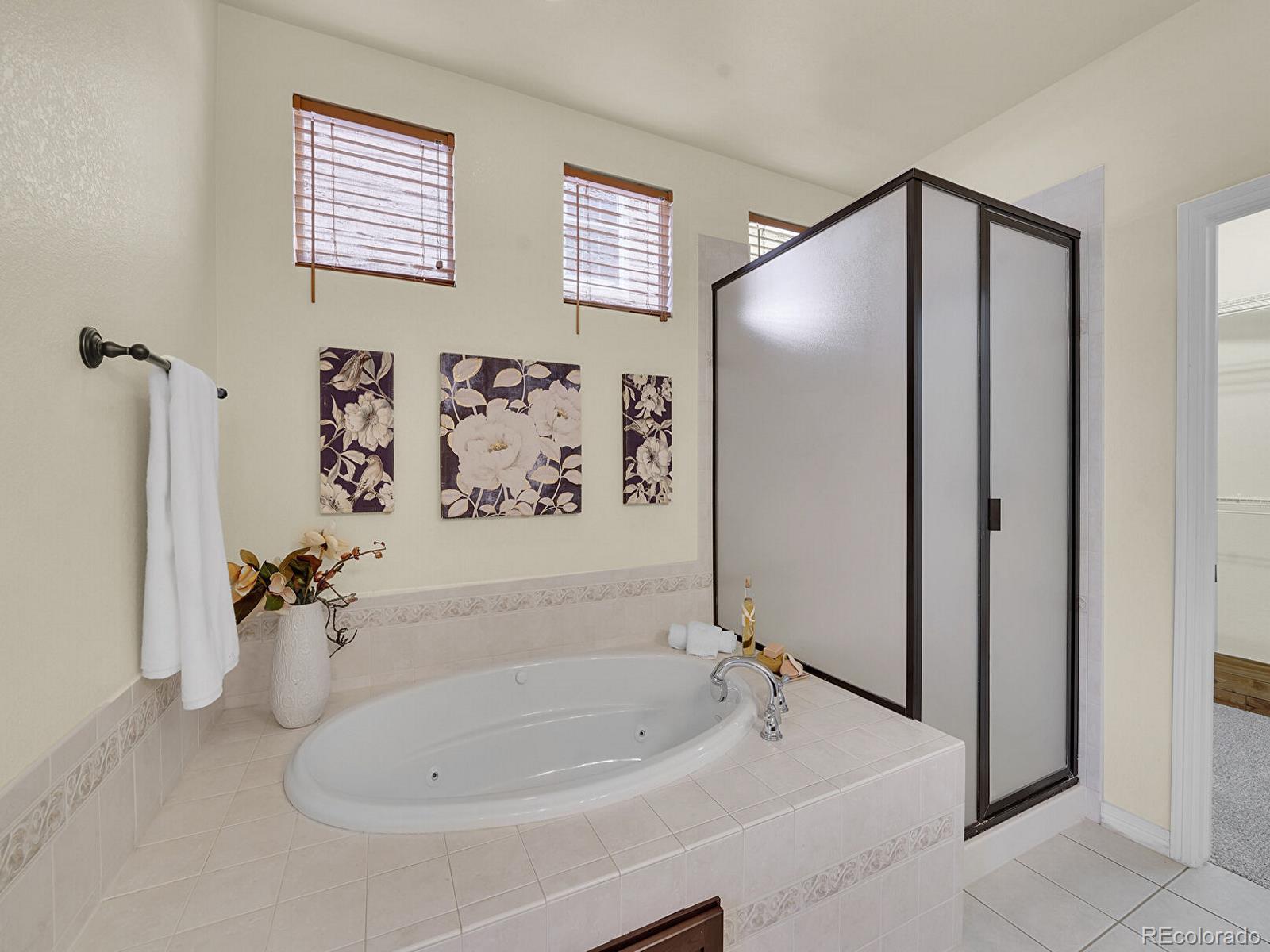 21975 E Idyllwilde Drive Parker CO 80138