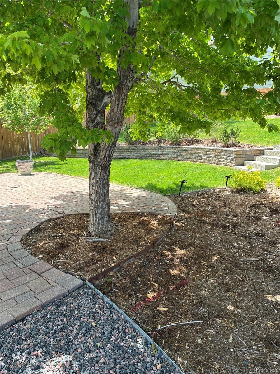 1416 Begonia Way Superior CO 80027