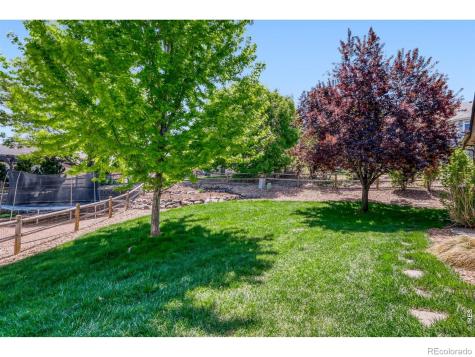 1760 Clear Creek Court Windsor CO 80550