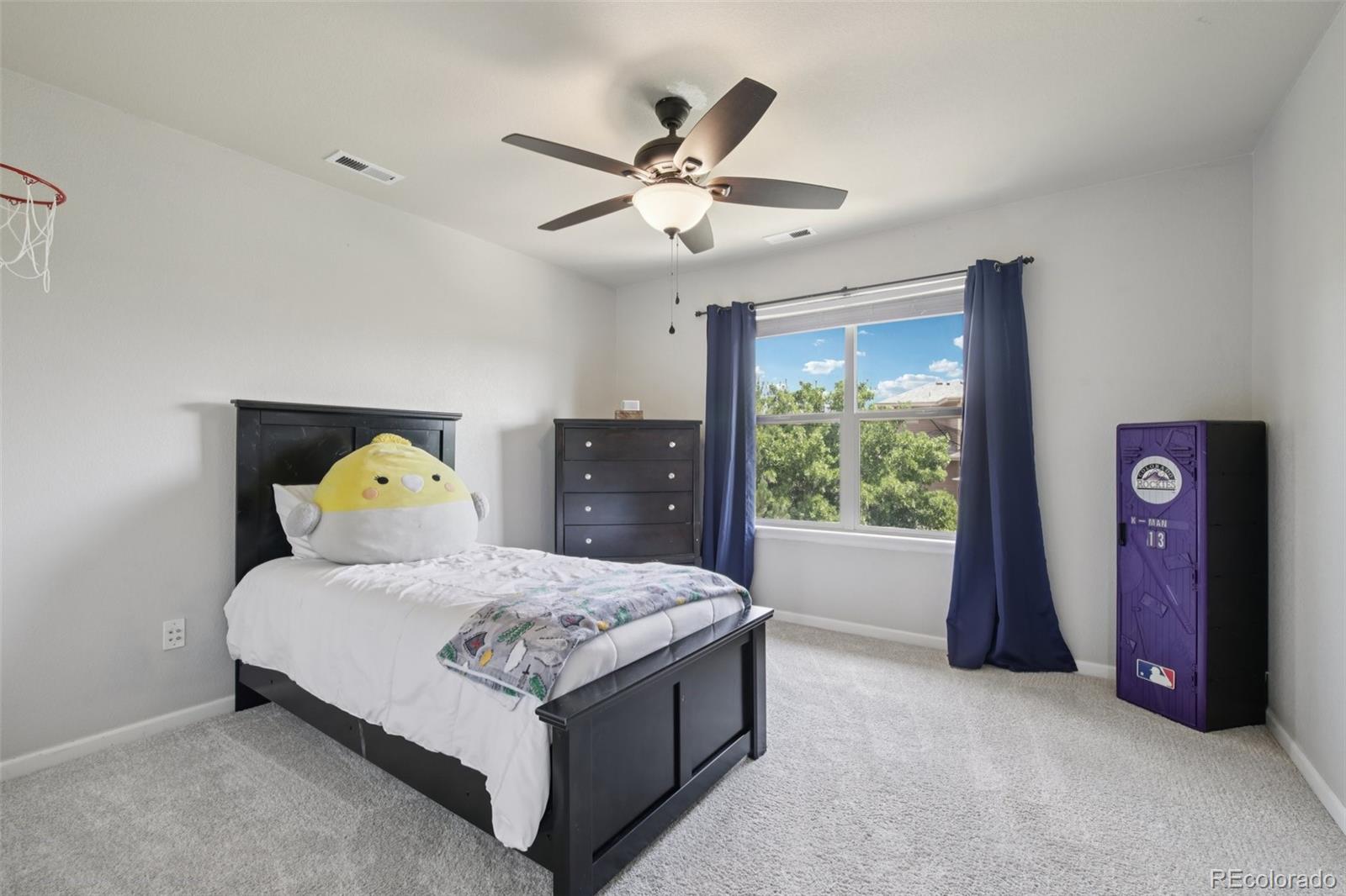 12176 S Hidden Trail Court Parker CO 80138