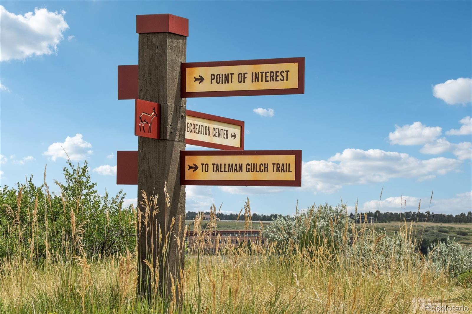 12176 S Hidden Trail Court Parker CO 80138