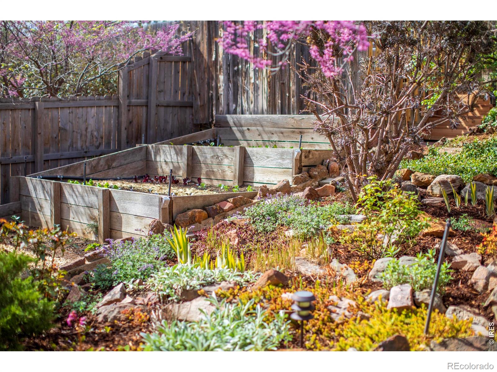 2447 20th Street Boulder CO 80304