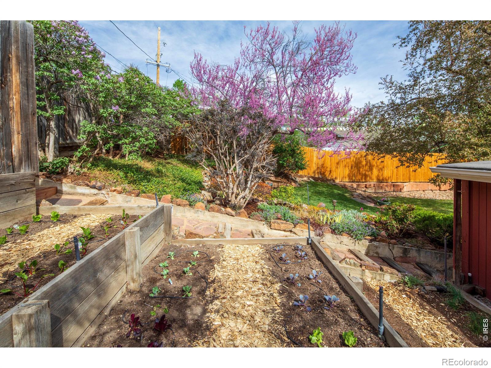 2447 20th Street Boulder CO 80304