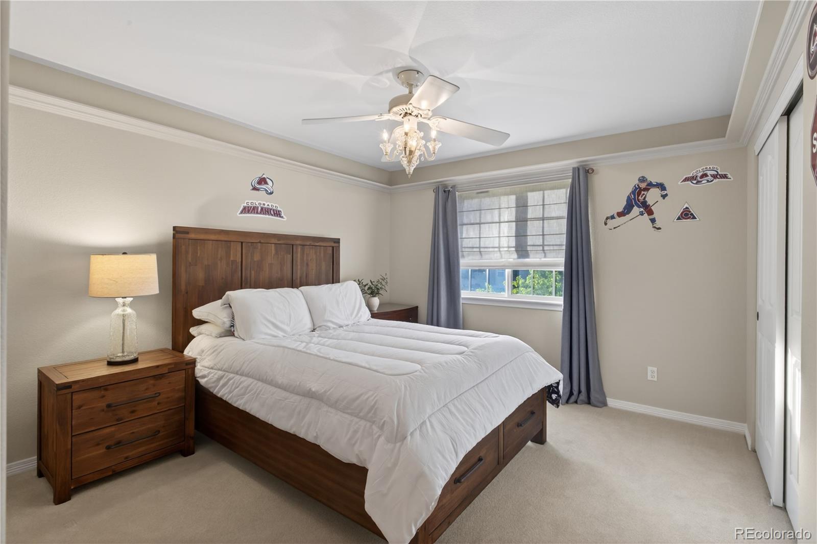 3041 Wyecliff Way Highlands Ranch CO 80126