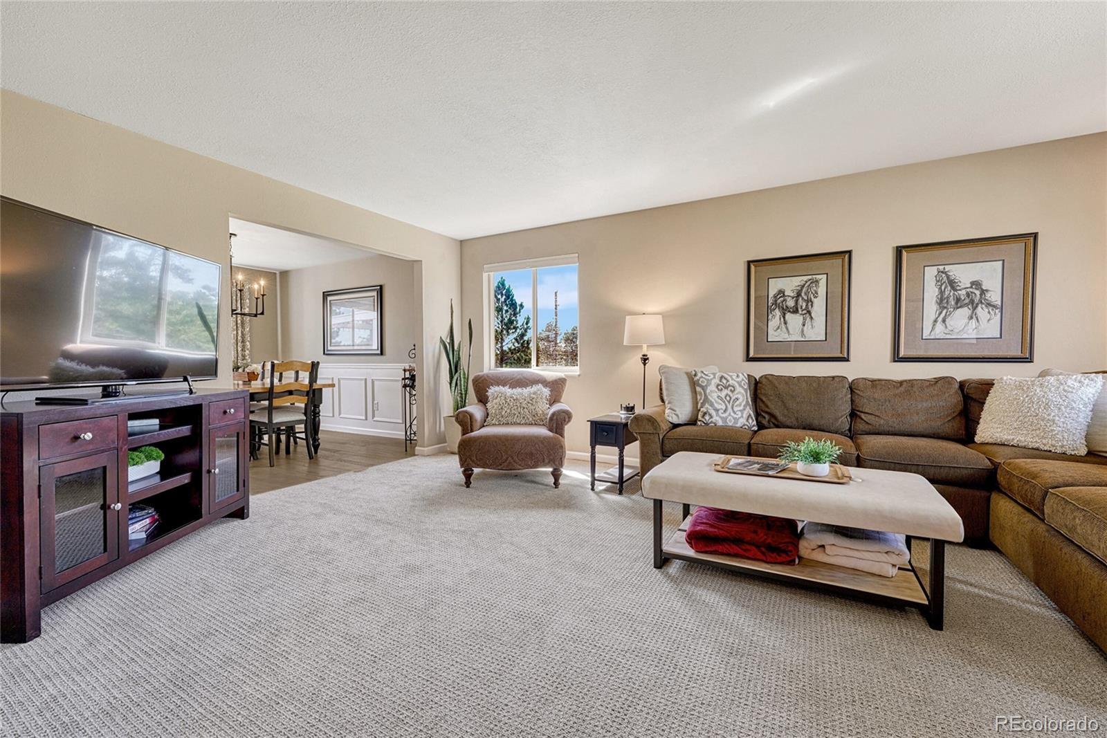 11040 E Stallion Drive Parker CO 80138
