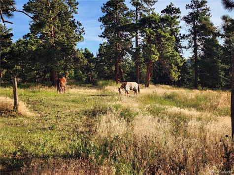 31727 Sylvan Road Golden CO 80403