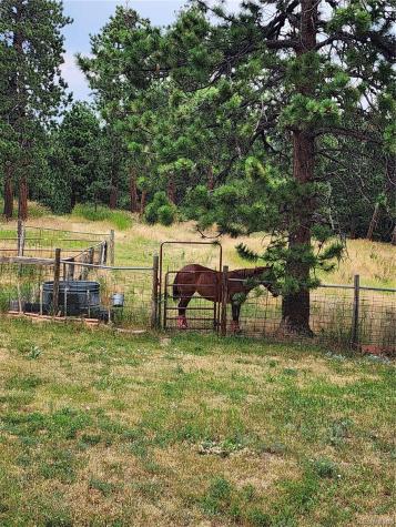31727 Sylvan Road Golden CO 80403