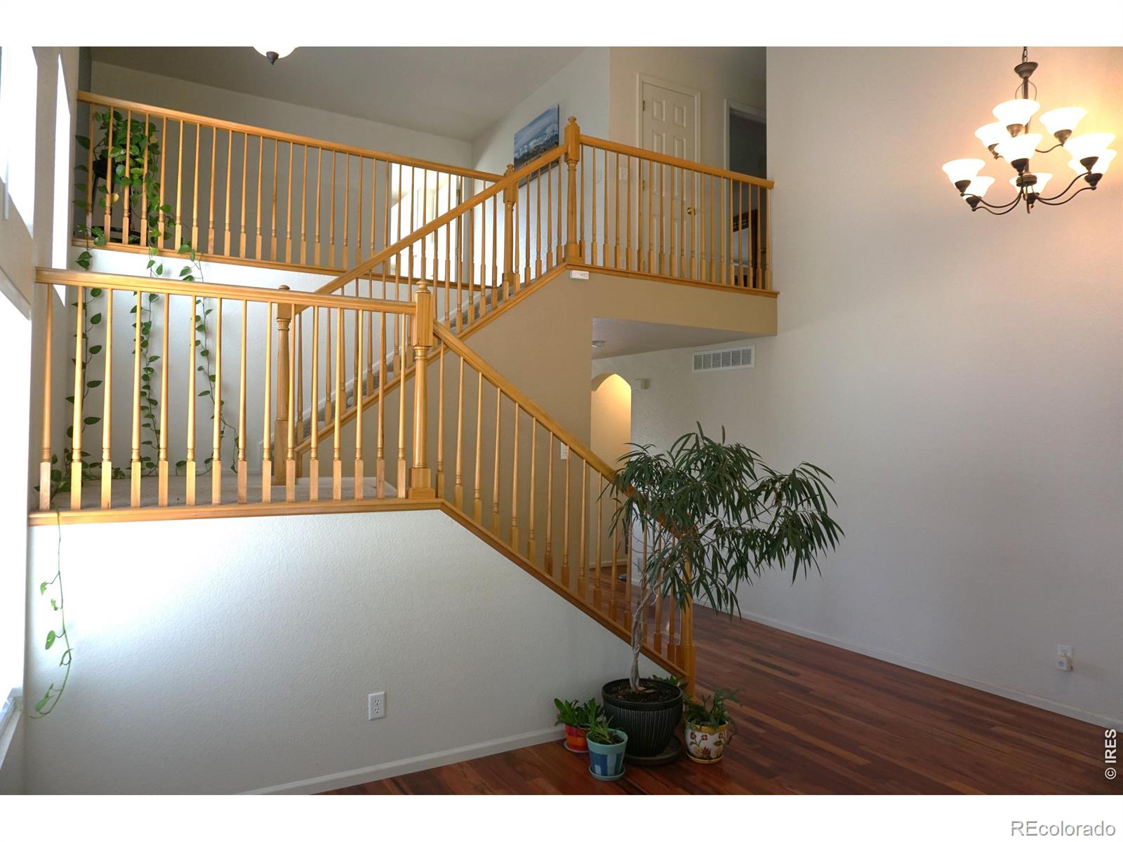 12609 Jersey Circle W Thornton CO 80602
