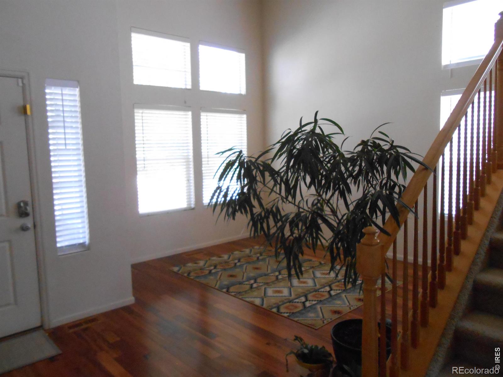 12609 Jersey Circle W Thornton CO 80602