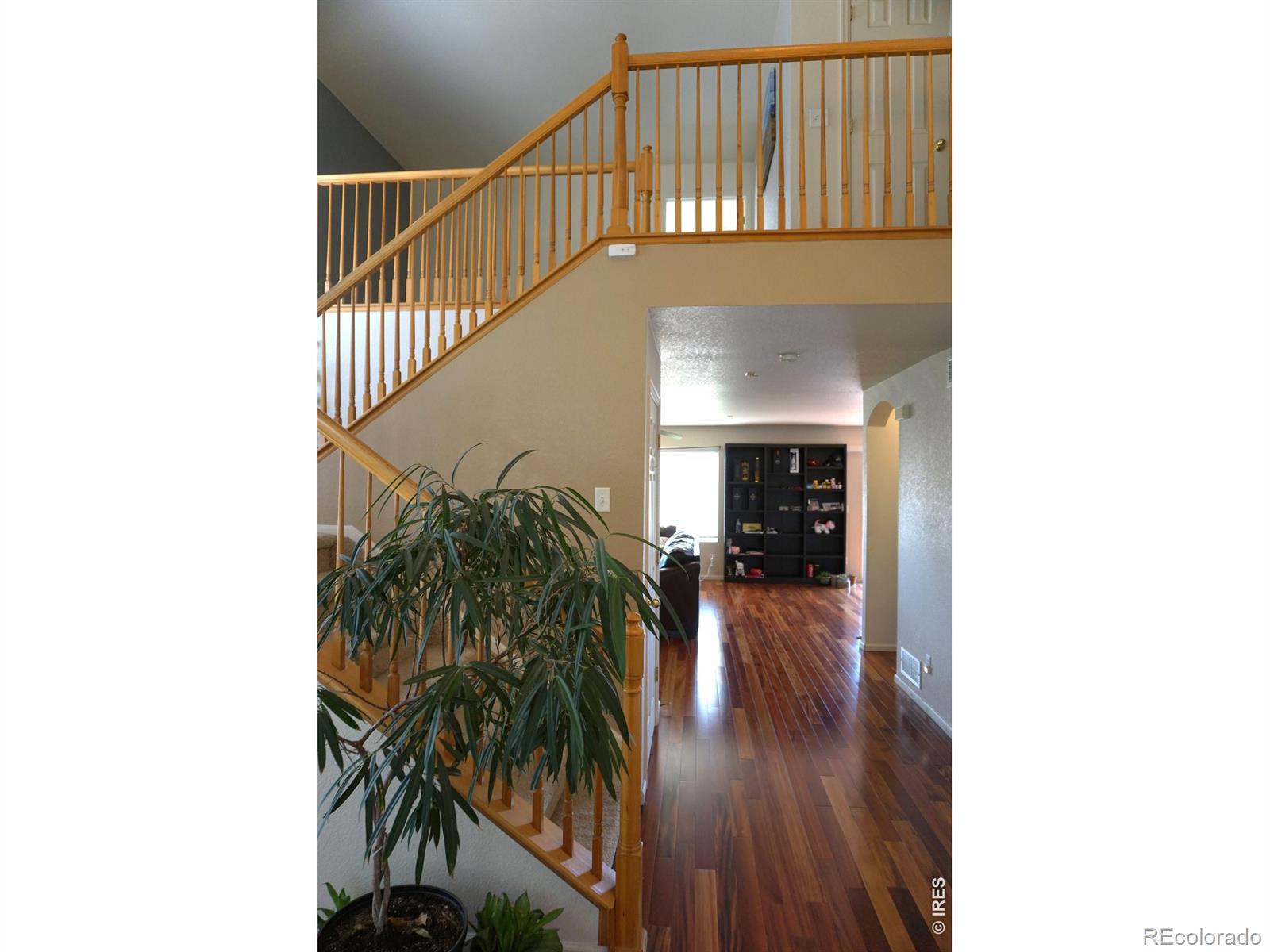12609 Jersey Circle W Thornton CO 80602